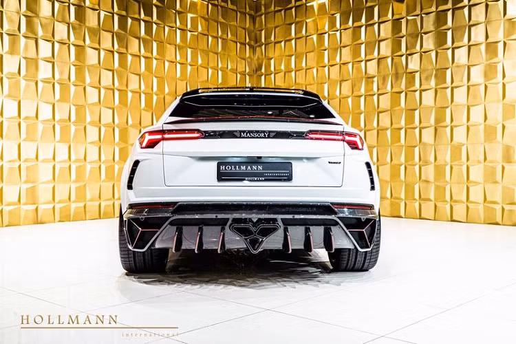 Mansory cũng dùng sợi carbon cho các cửa chớp ở vòm bánh xe trước (có thể hoạt động hoặc không), ngoài ra, xe còn có bộ vành màu bóng cỡ lớn với điểm nhấn màu đỏ tương phản.