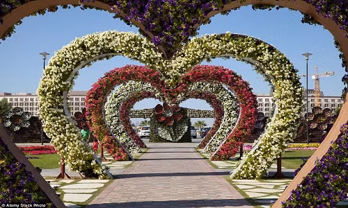 Dubai Miracle Garden ở Các Tiểu vương quốc Ả-rập Thống nhất (UAE) là một trong những khu vườn lớn nhất thế giới với diện tích 7,2 ha.