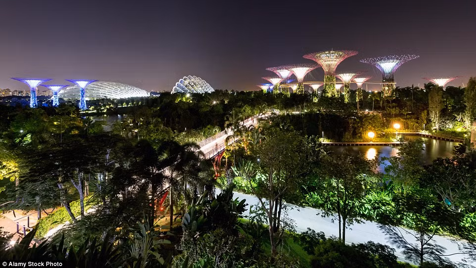 Quang cảnh vườn Gardens by the Bay rực rỡ vào ban đêm. Du khách đến đây có thể cảm nhận được cuộc sống của thành phố trong một khu vườn.