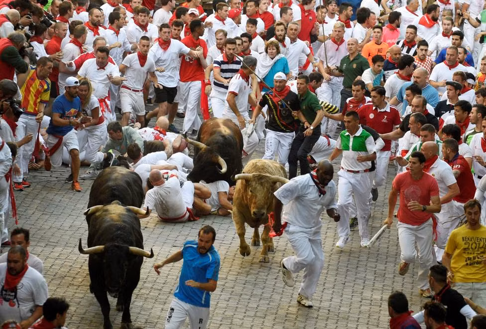 Trong lễ hội bò tót San Fermin ở Tây Ban Nha, các chú bò đực hung hãn sẽ được thả chạy tự do trên đường để tới trường đấu bò. Những người tham gia trên đường sẽ phải chạy “chối chết" để tránh bị bò húc phải.
