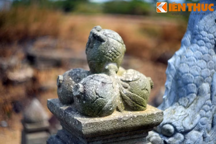 Trái lựu...