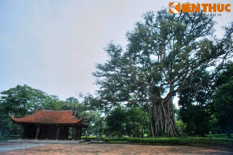 Nằm trên địa bàn thị trấn Lam Sơn, Thọ Xuân, tỉnh Thanh Hóa, Cố đô Lam Kinh là một di tích gắn liền với sự nghiệp của vua Lê Thái Tổ và nhà Hậu Lê trong lịch sử Việt Nam.