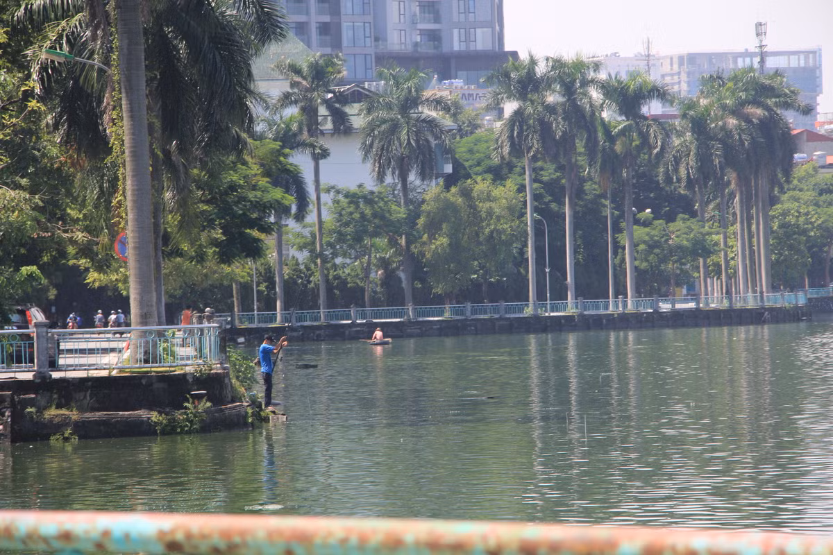 Dọc theo đoạn đường chỉ khoảng 3km, từ phía đầu hồ Tây (đường Thanh Niên) đường Nguyễn Đình Thi cho đến đoạn Trích Sài (đoạn phố Văn Cao rẽ vào), cứ khoảng vài trăm mét lại có một cần thủ đang đứng câu cá.