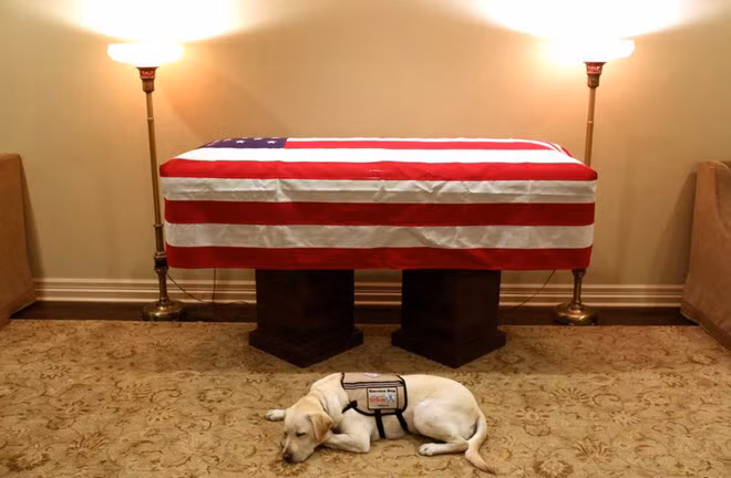 Chú chó của cố Tổng thống Mỹ George H.W. Bush nằm bên quan tài của ông tại quê nhà ở Houston, bang Texas, Mỹ. (Nguồn Guardian)