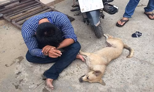 Long cùng con chó mà y vừa đánh bả được.