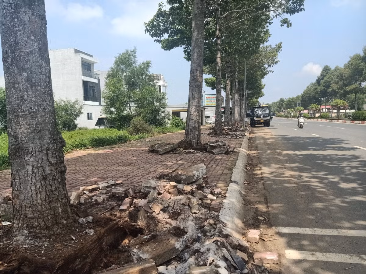 TP Bà Rịa: Đầu tư hàng chục tỷ nâng cấp cải tạo vỉa hè - Hình 2 TP Ba Ria: Dau tu hang chuc ty nang cap cai tao via he-Hinh-2
