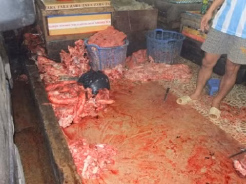Để nội tạng trâu bò không bị hỏng, các tiểu thương ngâm chúng với hóa chất, thậm chí, một số được tẩy trắng trước khi lên mâm cho khách.