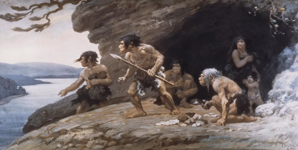 Nghiên cứu công bố trên Proceedings of the National Academy of Sciences (PNAS) cho thấy, ngoài các loại thịt, người Neanderthal có thói quen dùng bữa với nhiều loại rau củ, cơm, bánh mì... Những thực phẩm giàu tinh bột này là các món ăn không thể thiếu đối với họ.