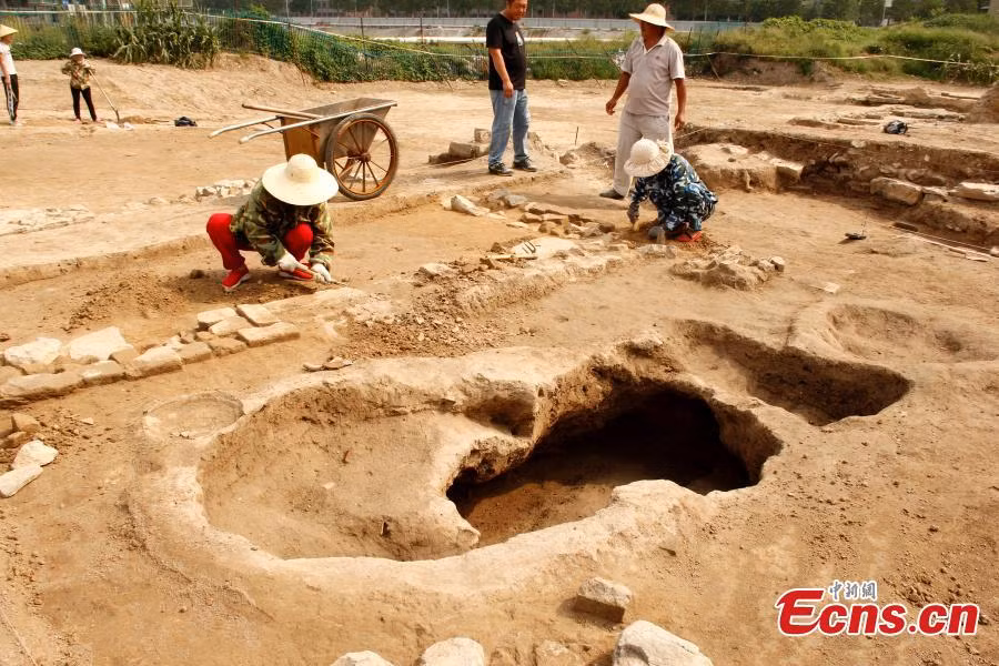 Kết quả kiểm tra cho thấy các quan tài được làm từ 3 loại gỗ quý gồm: trinh Nam, lãnh sam và đại thụ.