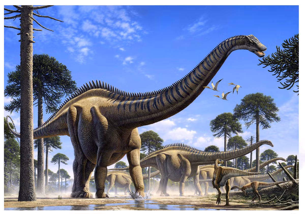 Một điều thú vị là mặc dù Supersaurus là loài khủng long dài nhất thế giới nhưng không phải là loại nặng nhất trên Trái đất. Kỷ lục này thuộc về loài argentinosaurus có trọng lượng hơn 90 tấn, tức nặng gần gấp 2 lần Supersaurus.