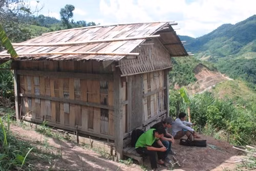 Ông Hồ Quang Bửu, Chủ tịch UBND huyện Nam Trà My cho biết: Mới đây, tại triễn lãm các sản phẩm đặc trưng của huyện Nam Trà My, loài tre này được xã Trà Nam mang ra giới thiệu. Loài tre này được dân làng rất quý và xem đó là báu vật. Khi có việc cần dân làng mới chặt tre, măng để dùng. Đây là sản vật độc đáo của núi rừng Ngọc Linh hiếm nơi nào có được. Trong ảnh: Một kho thóc của dân làng Long Riêu 3 được làm từ loài tre khổng lồ.