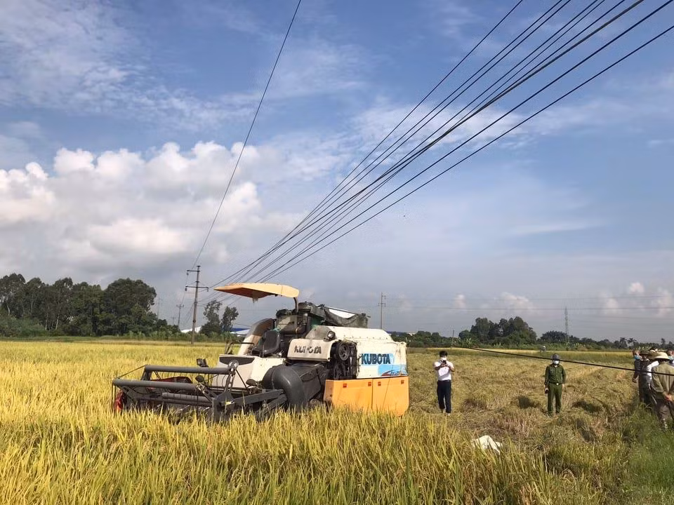  Hai thợ gặt tử vong trên cánh đồng ở Hải Dương. Ngày 3/10, UBND huyện Cẩm Giàng, Hải Dương cho biết, người dân phát hiện hai thợ gặt tử vong tại cánh đồng thôn Nghĩa, thị trấn Lai Cách bên cạnh chiếc máy gặt đang nổ máy. Danh tính là nạn nhân là V.V.M (SN 1967) và T.V.H (SN 1993), đều có HKTT tại thôn Cậy, xã Long Xuyên, huyện Bình Giang.