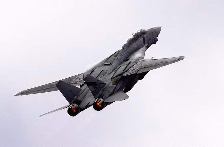 F-14 được thiết kế với kiểu cánh cụp cánh xòe được kiểm soát hoàn toàn tự động bởi "máy tính dữ liệu hàng không trung tâm".
