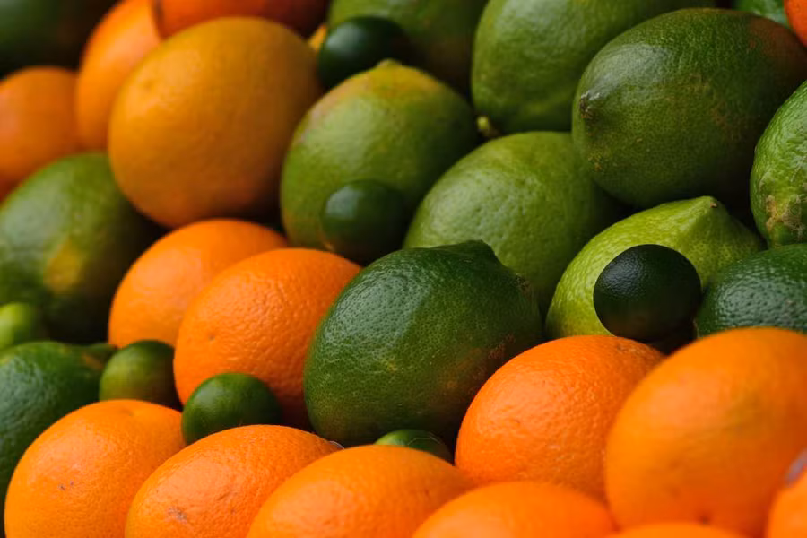 Màu vàng, da cam của quả các loại cây trong chi Citrus chỉ xuất hiện trong những khu vực có mùa đông mát mẻ. Ở khu vực cận kề xích đạo và không có mùa đông thì quả của chúng vẫn giữ màu xanh cho đến khi chín.