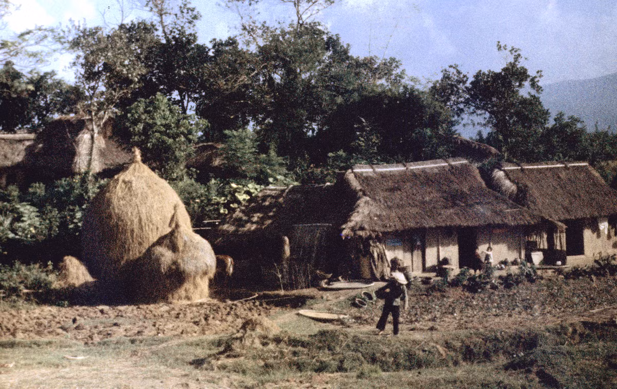 Nhà tranh bên đường tới Đức Phổ. Ảnh: Arty611.smugmug.com.