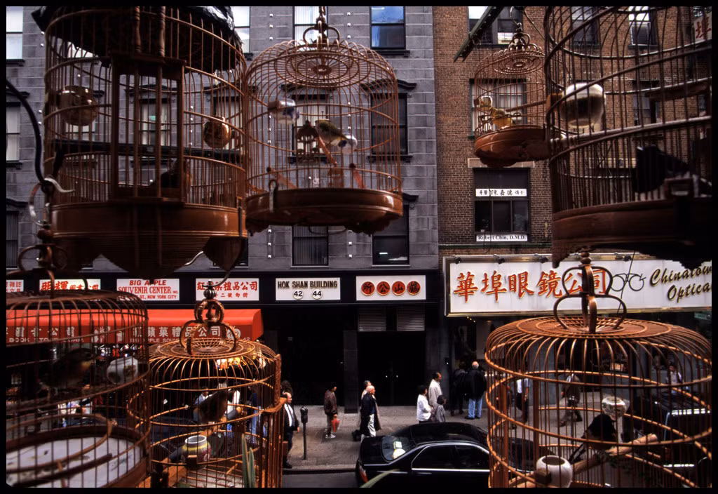 Những chiếc lồng chim treo bên ngoài cửa sổ một căn hộ ở phố Mott, khu Chinatown ở New York năm 1996. Ảnh: Chien-Chi Chang/ Magnum Photos.