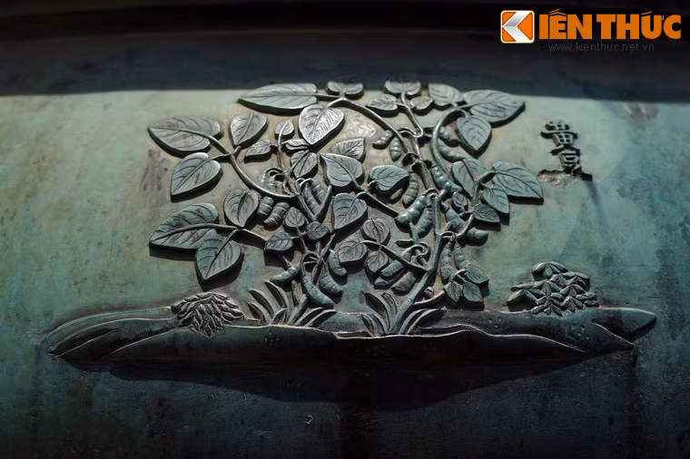 "Hoàng đậu" là cây đậu nành, một loài cây ngũ cốc họ đậu khác xuất hiện trên Cửu đỉnh bên cạnh đậu khấu (Chương đỉnh) và đậu ván (Nghị đỉnh).