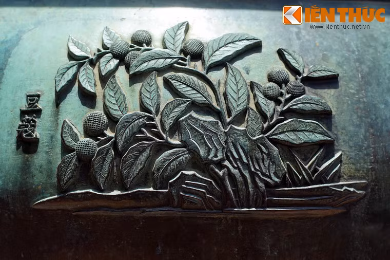 "Đậu khấu" là cây đậu khấu, loại cây có quả được sử dụng làm vị thuốc quý trong Đông dược.