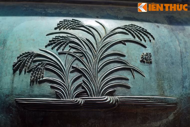 "Nọa" là cây lúa nếp, giống lúa dẻo và thơm song hành cùng lúa tẻ trên các ruộng lúa Việt Nam.