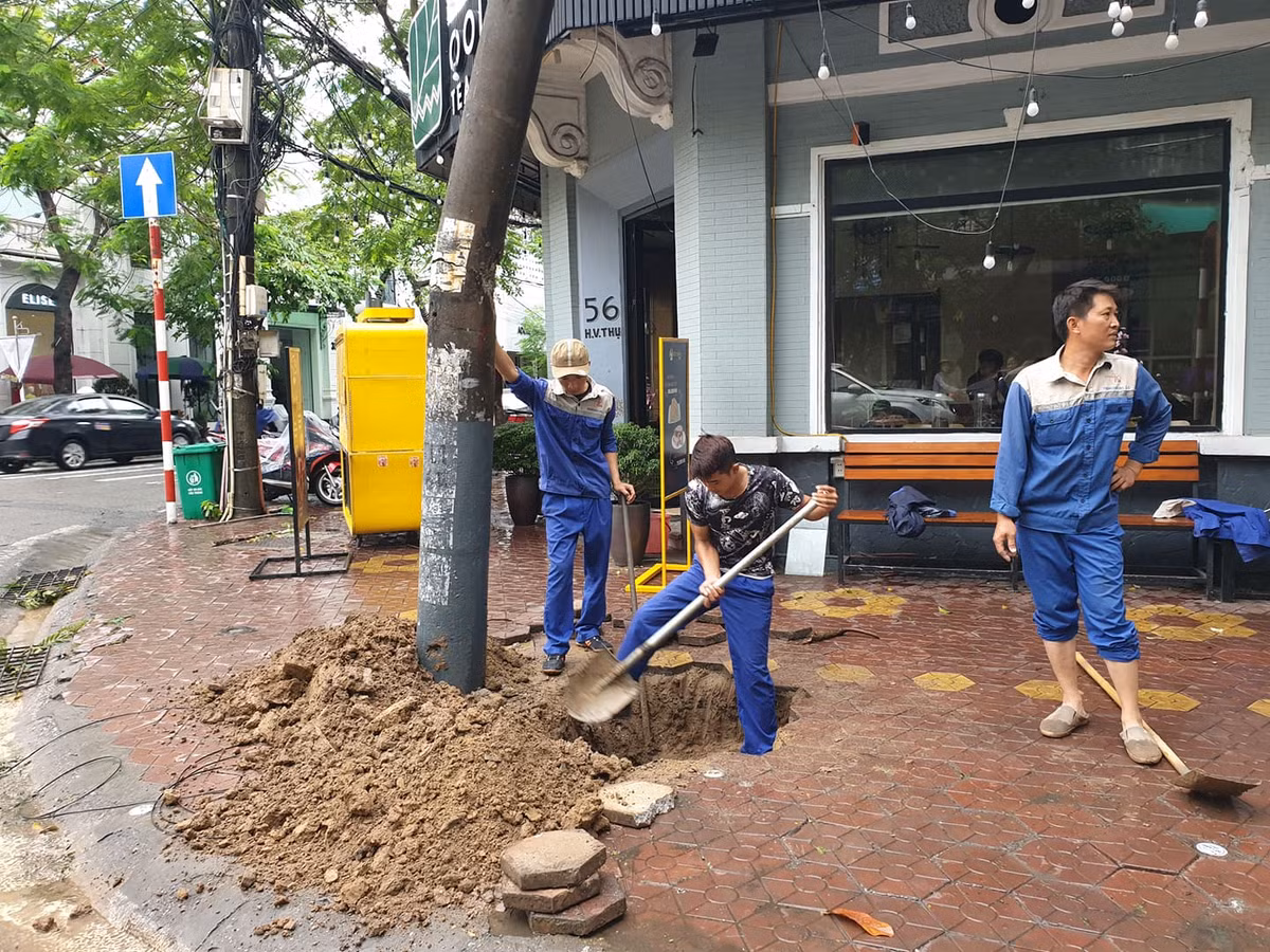 Cây cột điện cũng bị gãy ngang thân.