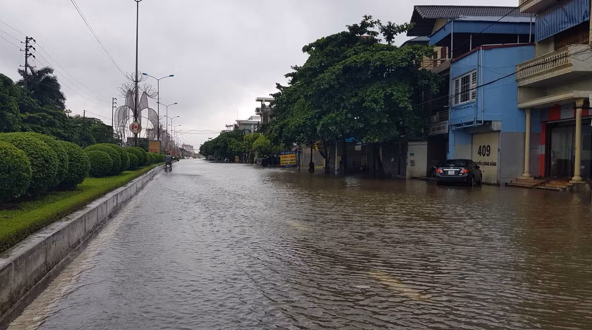Cả tuyến phố vài km ngập trắng băng.