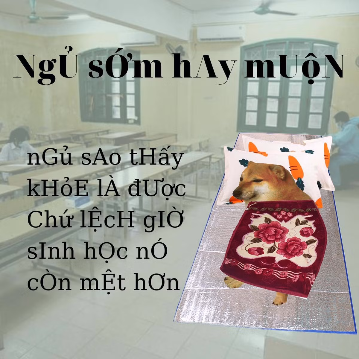 Ngủ sớm hay muộn không quan trọng, miễn sao các sĩ tử không bị lệch múi giờ sinh học của bản thân là được.