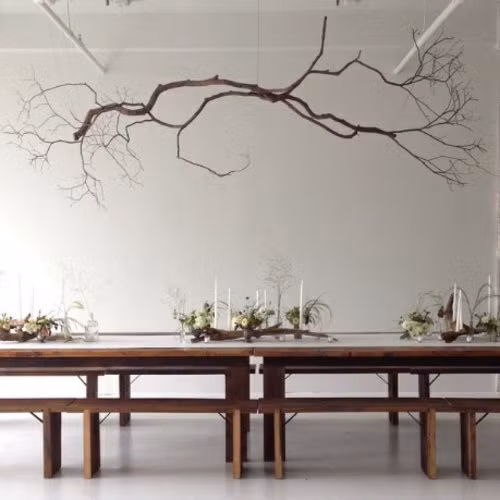 Nếu bạn đang sở hữu một ngôi nhà với trần nhà cao ráo, thoáng đãng thì bạn chỉ cần lựa chọn một cành cây khô có hình dáng đẹp mắt, treo nó lên và bạn đã có một món đồ trang trí trong nhà vô cùng “độc” và “lạ”! Ảnh: Freshideen.
