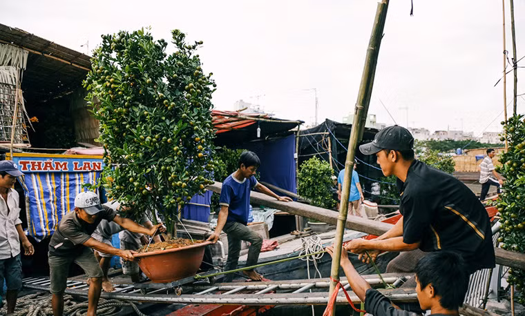 Chợ hoa Tết chỉ tập trung buôn bán ở một bên vỉa hè sát bờ kè kênh Tàu Hủ và dưới thuyền. So với mọi năm thì dịp Tết năm nay có nhiều loại hoa hơn, đa dạng màu sắc. Tuy nhiên vẫn tập trung chủ yếu là mai và quất.