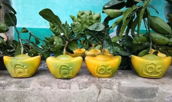 Cung Tet buoi tai loc thoi vang 1 trieu/cap: Dan Thu do cau phu quy
