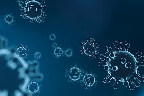 Loại virus corona mới được nhiều nhà khoa học tin rằng đó có thể là một mầm bệnh mới lây lan sang người - một loại virus corona thứ tám.