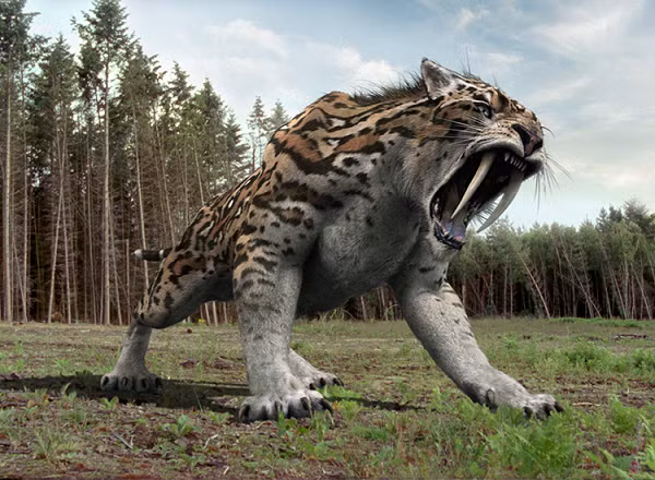 Tuy nhiên, các nhà nghiên cứu đến từ Đại học Quốc Gia Úc cho rằng loài Homo erectus có nhiều đặc tính sinh sống dẫn đến kết cục tuyệt chủng. Bằng chứng được tìm thấy trong một cuộc khai quật tại khu vực bán đảo Ả Rập. Loài Homo erectus khá thông minh, nhưng lại có khả năng thích nghi kém, bị ảnh hưởng nặng nề bởi sự thay đổi khí hậu. Mời các bạn xem video: Khung cảnh thiên nhiên tuyệt đẹp tại các quốc gia ít dân nhất thế giới. Nguồn: VTC.