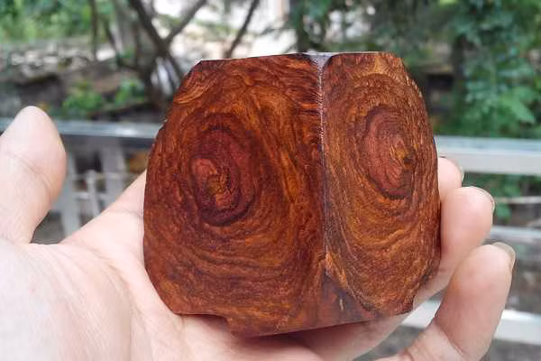 "Anh thật là có mắt mà không biết nhìn, từ khúc gỗ cho tới nhìn người, suýt chút nữa bị lừa đấy. Anh bình tĩnh nghe tôi nói: Đây là loại gỗ sưa đỏ quý hiếm và có giá trị rất cao. Anh phát tài rồi đó. Hãy nhớ đừng có giao du với người bạn kia nữa nhé!"