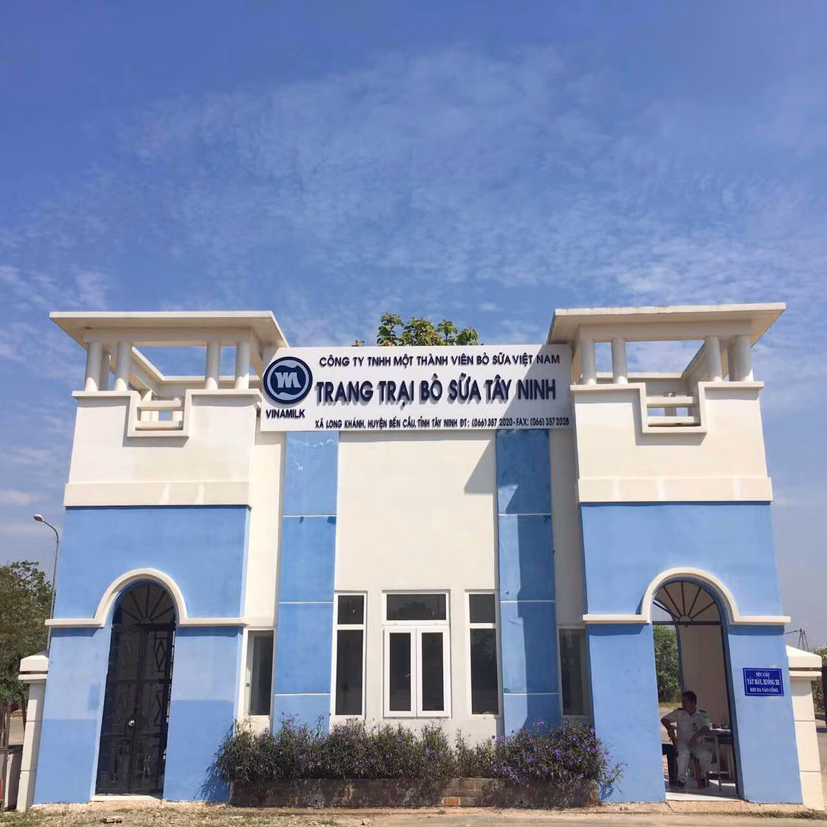 Vinamilk nhap hon 2.000 con bo sua cao san tu My