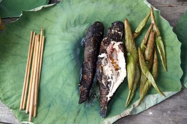Khi cá chín, cạo bỏ lớp vẩy đã cháy xém để lộ ra thịt cá trắng và thơm. Cá lóc nướng trui có mùi thơm rất đặc trưng và riêng biệt tỏa ra từ lớp vảy, thớ thịt xen lẫn mùi hơi khét của da cá nướng. Cá nướng xong chỉ cần gỡ thịt chấm loại muối hột mới cảm nhận được hết mùi vị thơm ngon vừa cay vừa mặn vừa ngọt vừa thơm của món cá lóc nướng trui "chổng ngược" Nam Bộ. (Ảnh: internet)