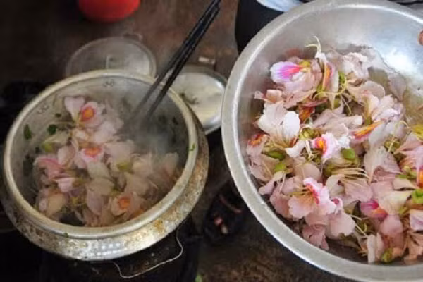 Để có những món ăn ngon, hoa ban sau khi hái về, nhặt lấy cánh và nhụy hoa đem rửa nhẹ nhàng rồi chần qua nước nóng để cho ráo nước rồi mới chế biến thành nhiều món ăn khác nhau. (Ảnh: tiin.vn)