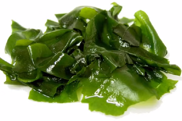 Rong biển kết hợp cùng đậu phụ để nấu canh là món ăn giúp thanh nhiệt và rất tốt cho sức khỏe bà bầu vì thực phẩm có tính mát, lành và rất bổ dưỡng. Rong biển là loại nguyên liệu rất dễ kết hợp với các loại thực phẩm khác để tạo thành món ăn ngon như: cơm cuốn rong biển, canh rong biển, rong biển xào.. (Ảnh:Songkhoe)