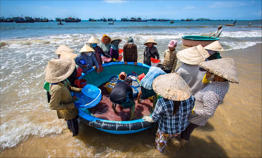 Tới chợ cá cảng Mũi Né, bạn sẽ ngỡ ngàng trước sự tấp nập của nơi đây. Hàng trăm ngư dân đón những chuyến tàu đầy ắp cá tôm từ biển khơi trở về. Ảnh: Đông Giang.