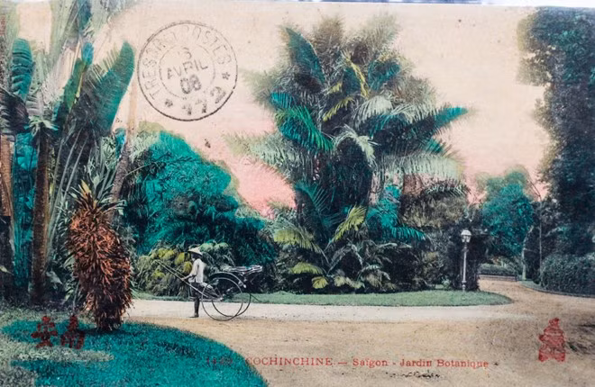 Năm 1864, đề đốc Pháp De La Grandière ký quyết định cho xây dựng vườn Bách thảo Sài Gòn. Vườn được nới rộng dần đến năm đến 33 hecta năm 1927. Sau hơn 130 năm tồn tại, nơi đây trở thành một vườn thú lớn mang tên Thảo Cầm Viên với 590 đầu thú thuộc 125 loài, thực vật có 1800 cây gỗ thuộc 260 loài, 23 loài lan nội địa, 33 loài xương rồng, 34 loại bon sai... Bên trong Thảo Cầm Viên còn có hai công trình kiến trúc đặc sắc khác đó là Đền thờ vua Hùng và Bảo tàng Lịch sử Việt Nam.