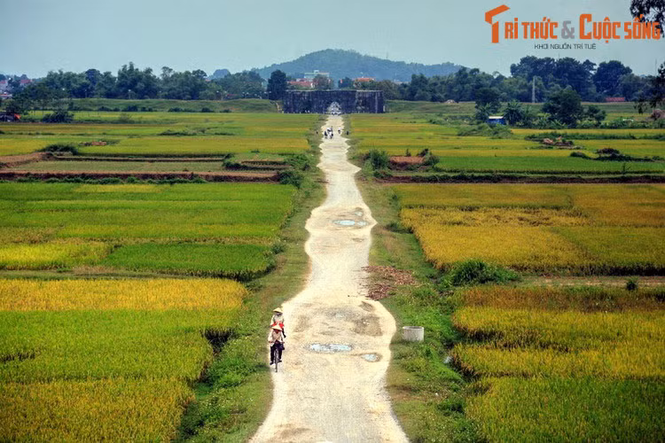 Theo đánh giá của giới nghiên cứu, các cánh cổng của thành nhà Hồ thể hiện một trình độ rất cao về kĩ thuật xây vòm đá. Trải qua hơn 600 năm, những cánh cồng này vẫn đứng vững, góp phần quan trọng vào giá trị di sản của tòa thành cổ xứ Thanh.