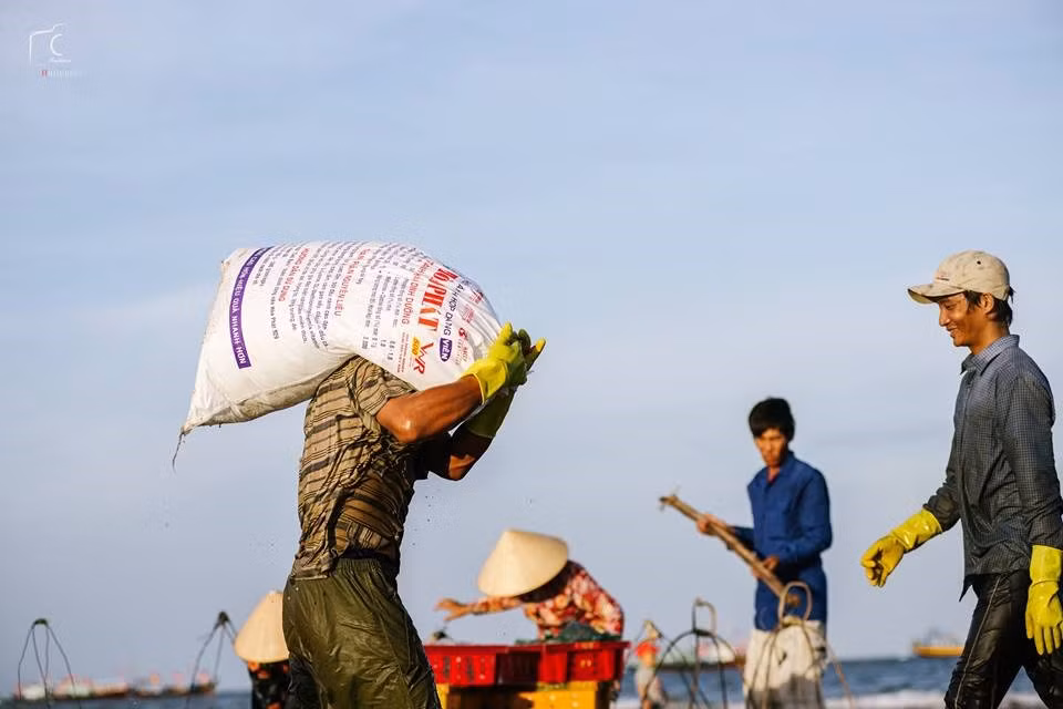 Cư dân Phước Hải xưa nay sống chủ yếu bằng nghề đánh bắt cá. Đây cũng là một trong những làng chài lâu đời nhất của tỉnh.