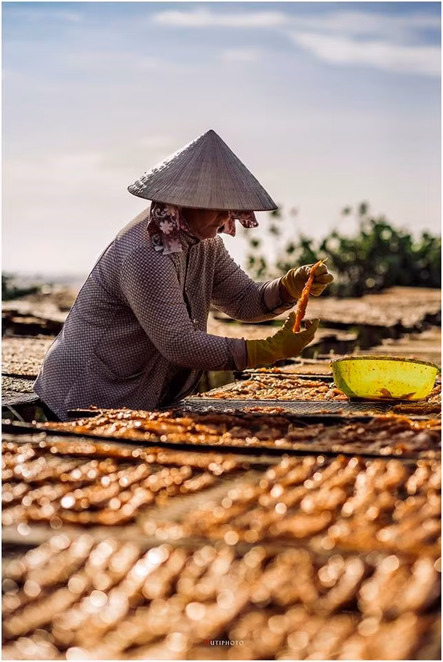 Nếu không bán hết, ngư dân sẽ chuyển cá về nhà, mổ bỏ ruột, phơi khô hay làm mắm.