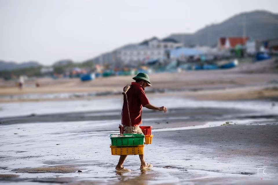 Để kịp buổi chợ, các thao tác chọn, cân cá, thanh toán tiền diễn ra khá chóng vánh.