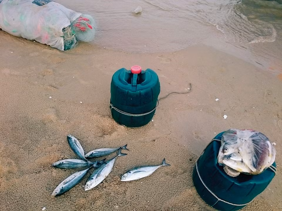 Những con cá tươi rói cho bữa cơm gia đình.