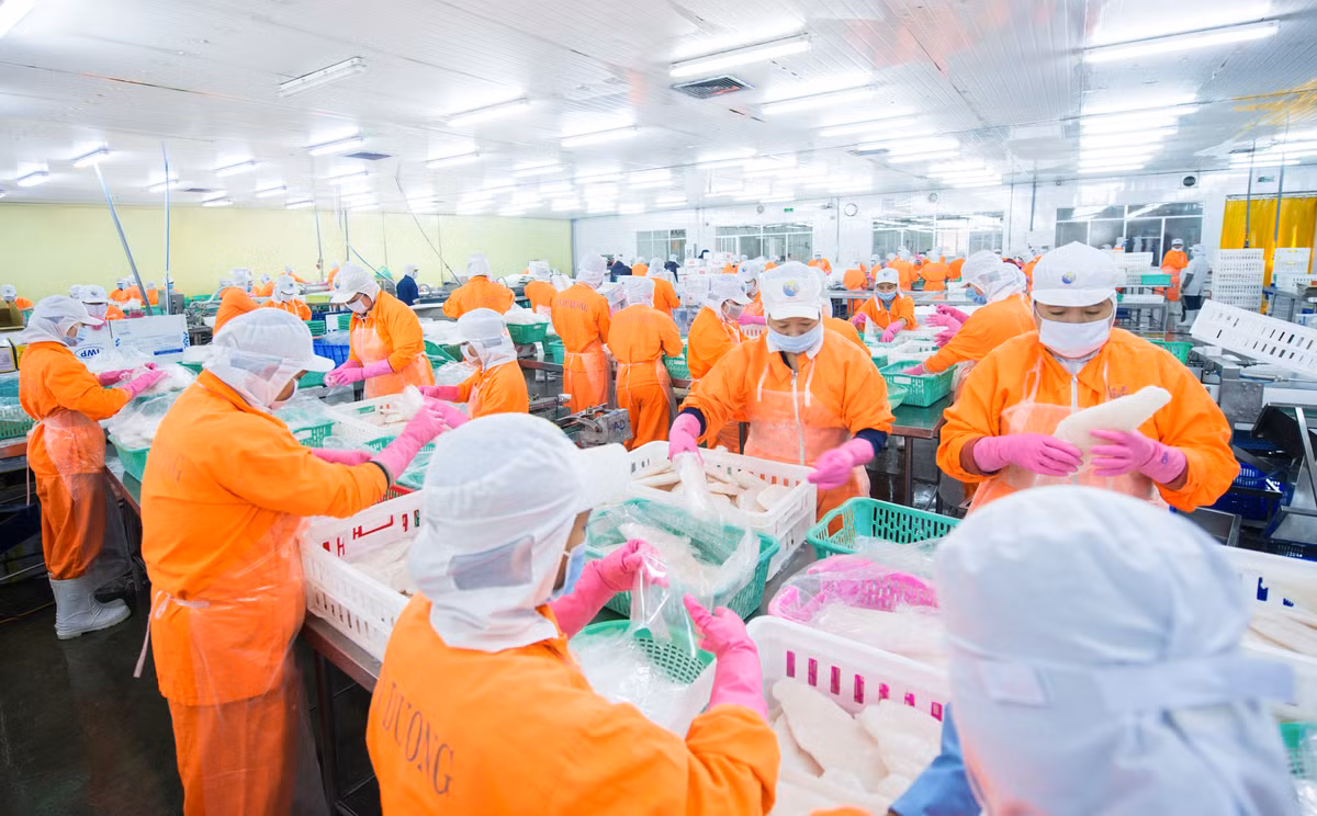 Loi nhuan 2023 Thuy san Nam Viet chi dat 10,9% ke hoach