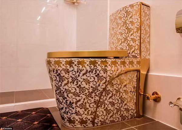 Ngam ngoi nha dat vang tu cong vao toi toilet-Hinh-2