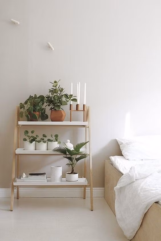 Đưa mảng xanh vào môi trường sống sẽ là xu hướng nổi bật trong năm 2019.