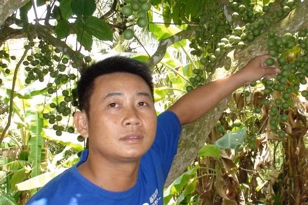 Bí ẩn cây cưa ra máu và đốt nhang không cháy Bi an cay cua ra mau va dot nhang khong chay