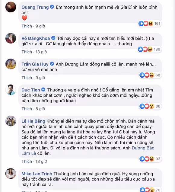 Dan mang neu thang li do Le Duong Bao Lam bi danh-Hinh-3