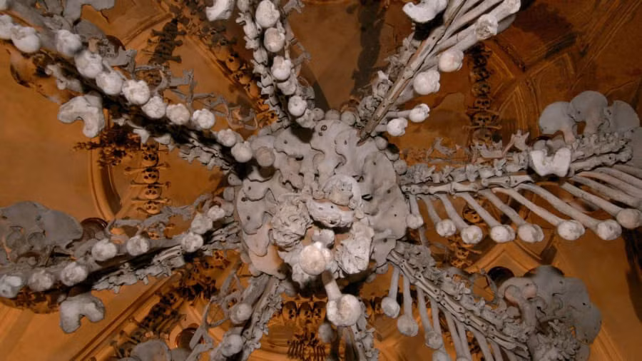 Radka Krejčí, Giám đốc Giáo xứ Sedlec, nói với truyền thông rằng việc chụp ảnh nhà thờ Sedlec Ossuary sẽ bị hạn chế vào năm 2020. "Chúng tôi tin rằng khách tham quan sẽ tôn trọng quyết định này và hiểu lý do khiến chúng tôi làm như vậy", bà nói.