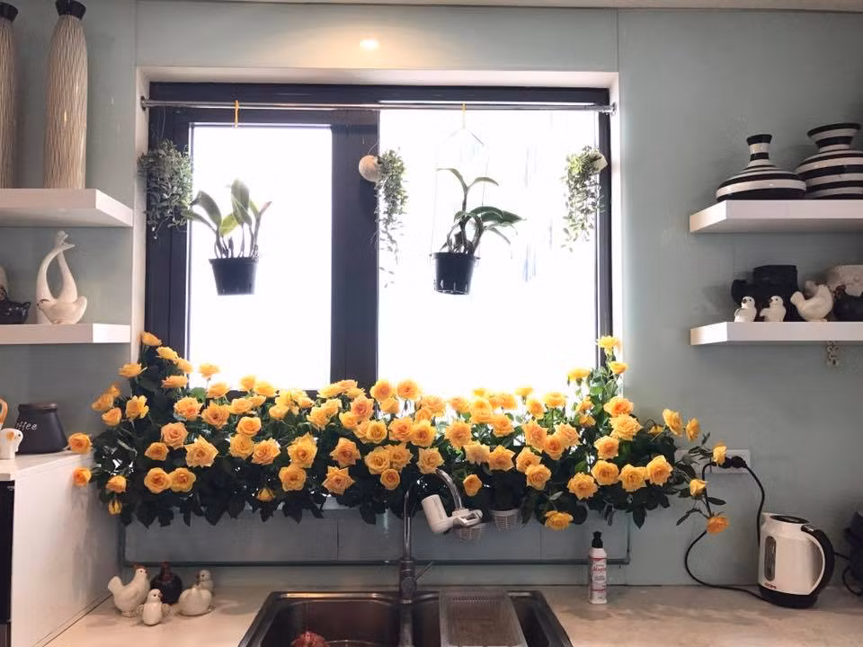 Chị Thúy cho hay:" Bạn cũng không cần phải mua những loài hoa quá sang chảnh, đắt tiền mà có thể mua những loại hoa được bày bán phổ biến như hoa hồng, hoa cúc...ở chợ hoa bán buôn như chợ Hà Đông, Quảng Bá… giá hoa rất rẻ.